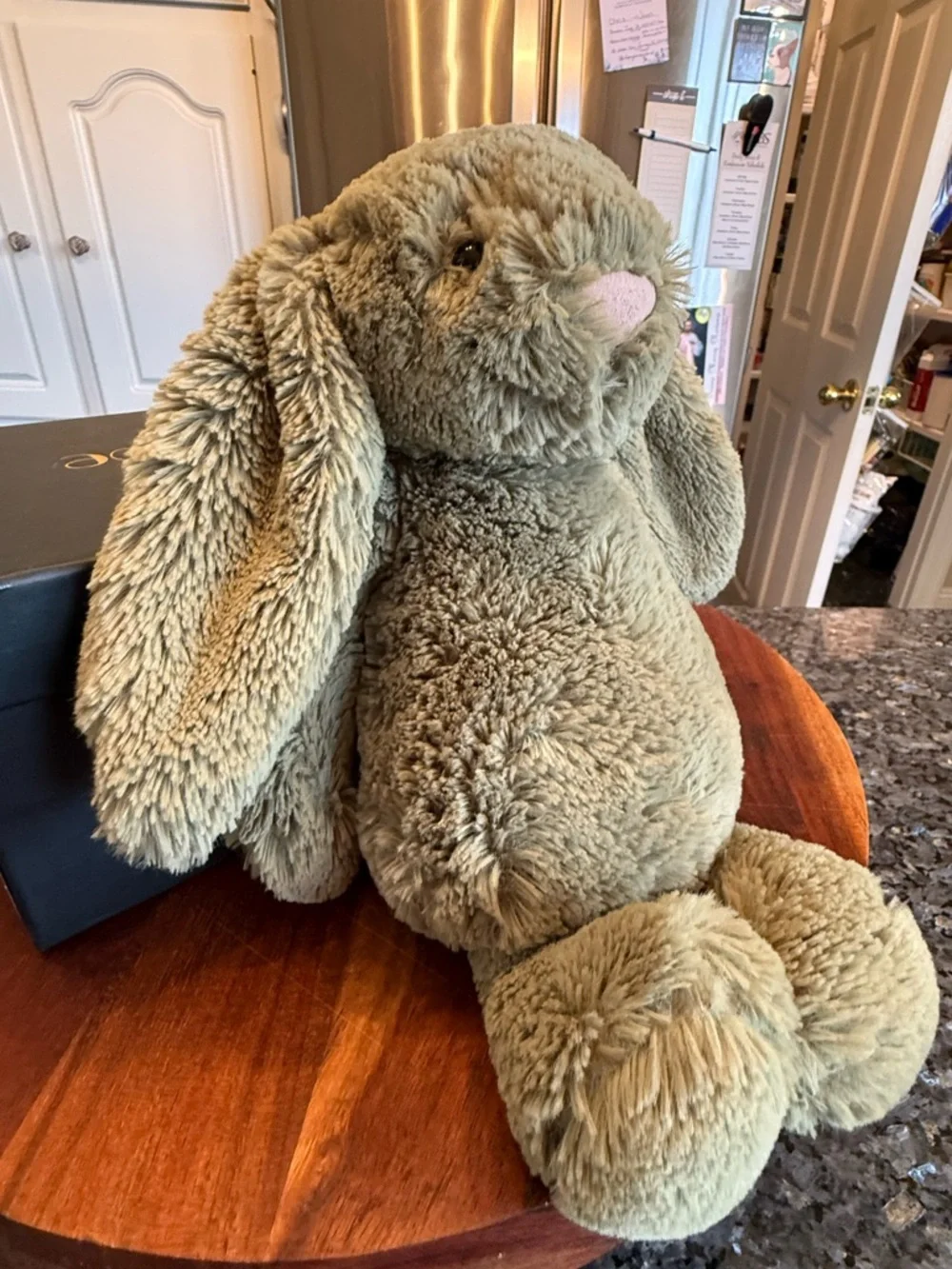 Medium Bashful Fern Bunny Jellycat - Retired & Authentic Design - Picture 3 of 11